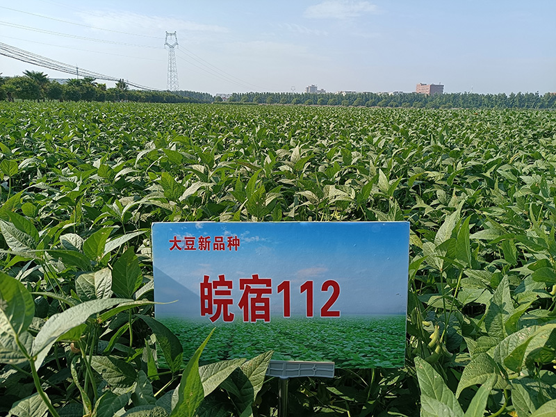 微信图片_20230328170002.jpg