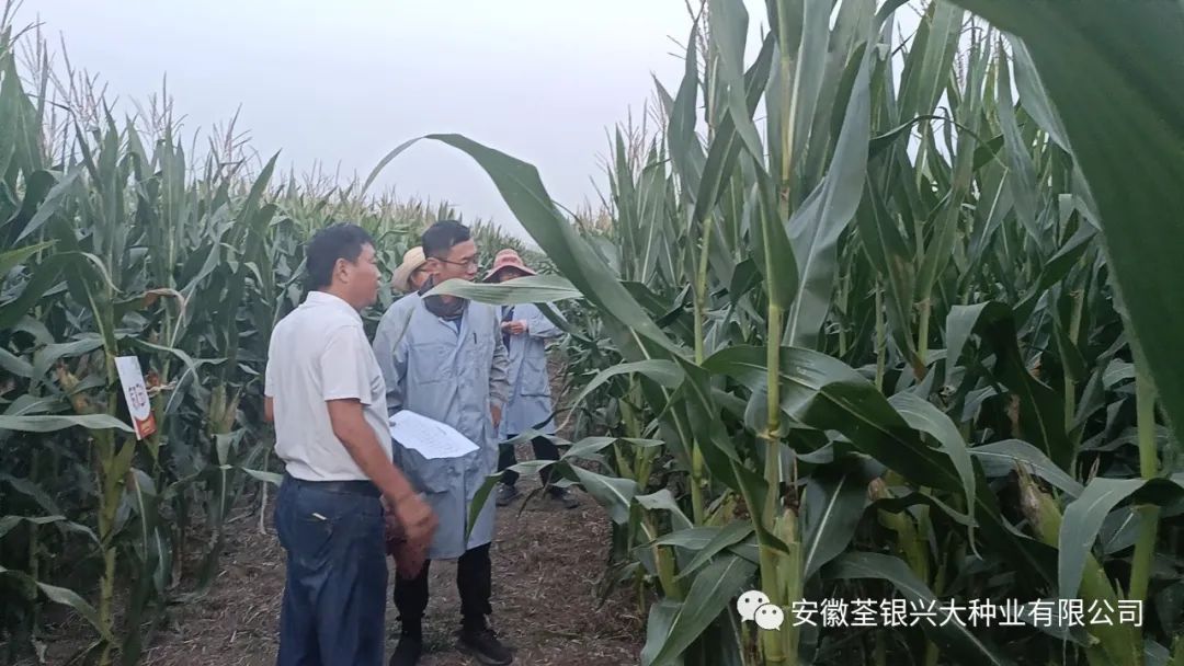 荃银兴大科研基地近日动态