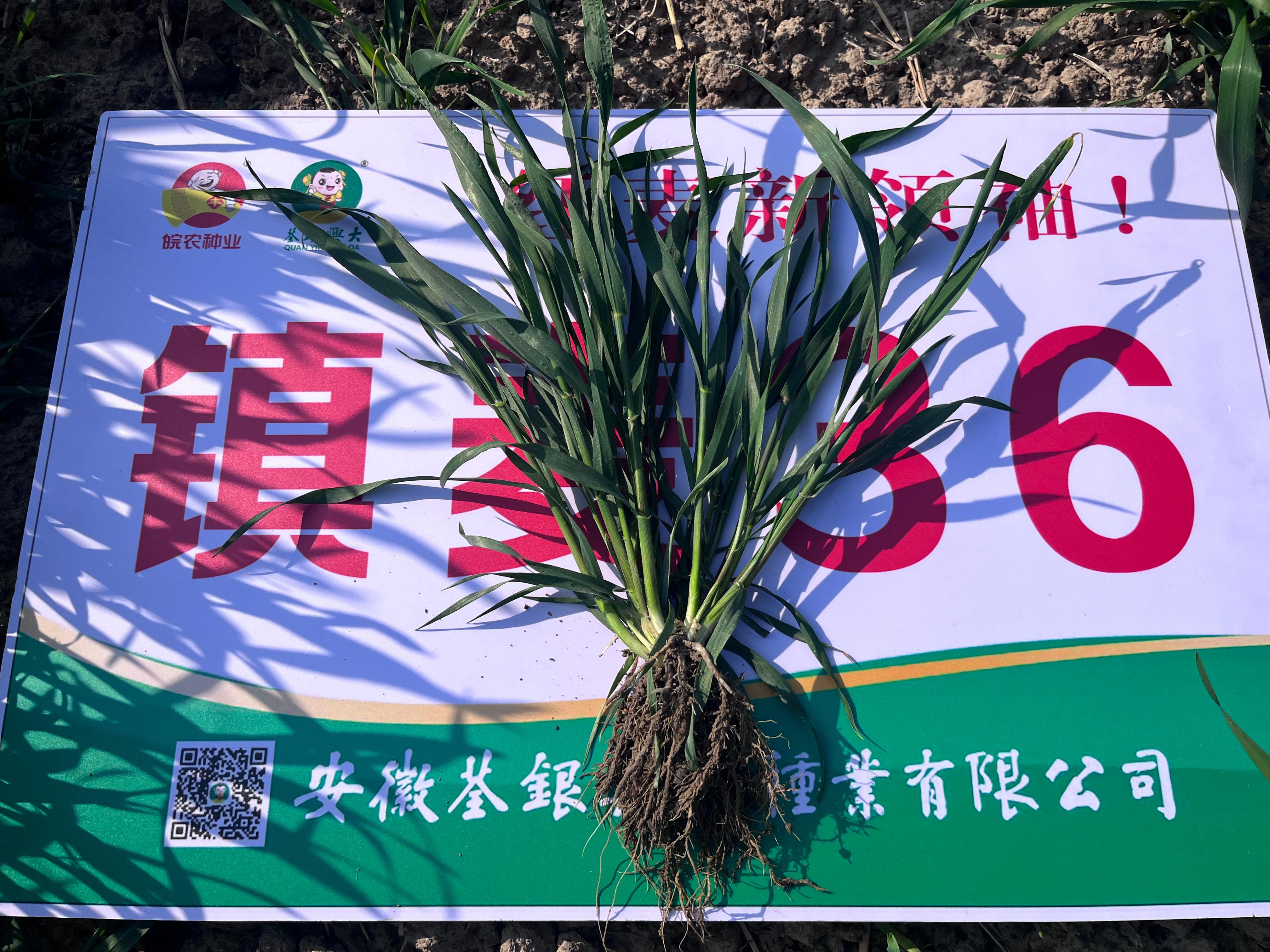 微信图片_20260325212843_1009_4.jpg